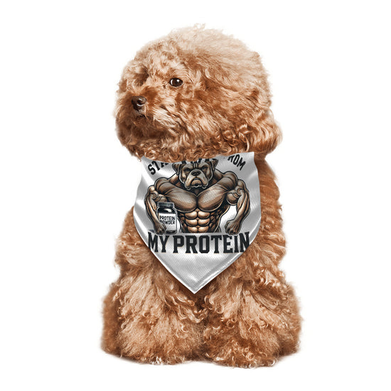 STAY AWAY FROM MY PROTEIN Pet Triangle Scarf